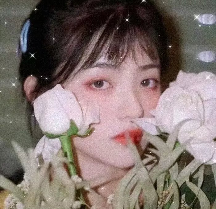 苏珊娜之家